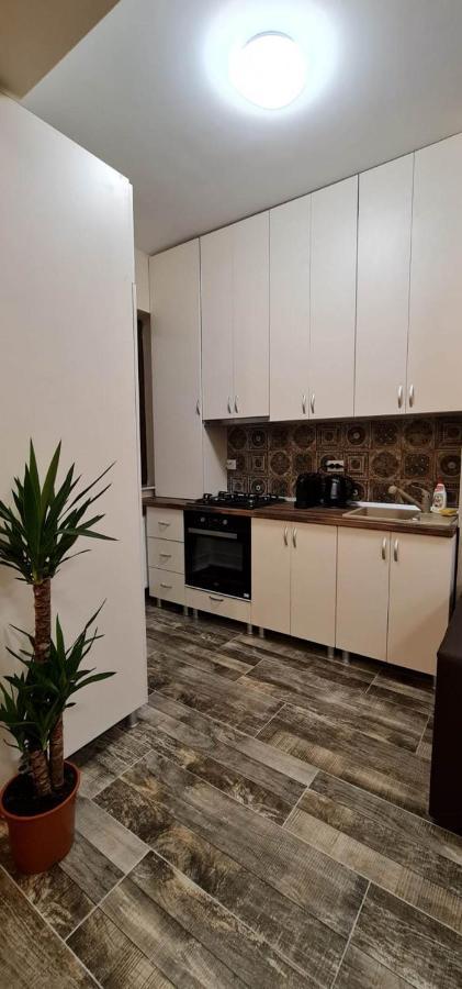 Designed Like Home Apartment Near Palas Mall Iasi Eksteriør billede